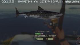 鲨鱼最新爆料视频大全集,揭秘海洋深处的秘密与奇观